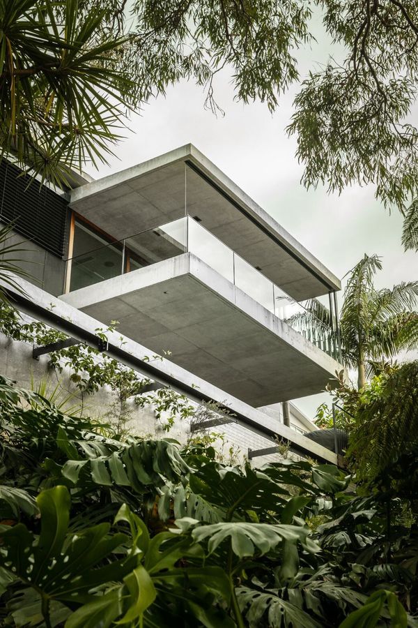 Bay House cantilevered concrete balcony among palms and tree ferns