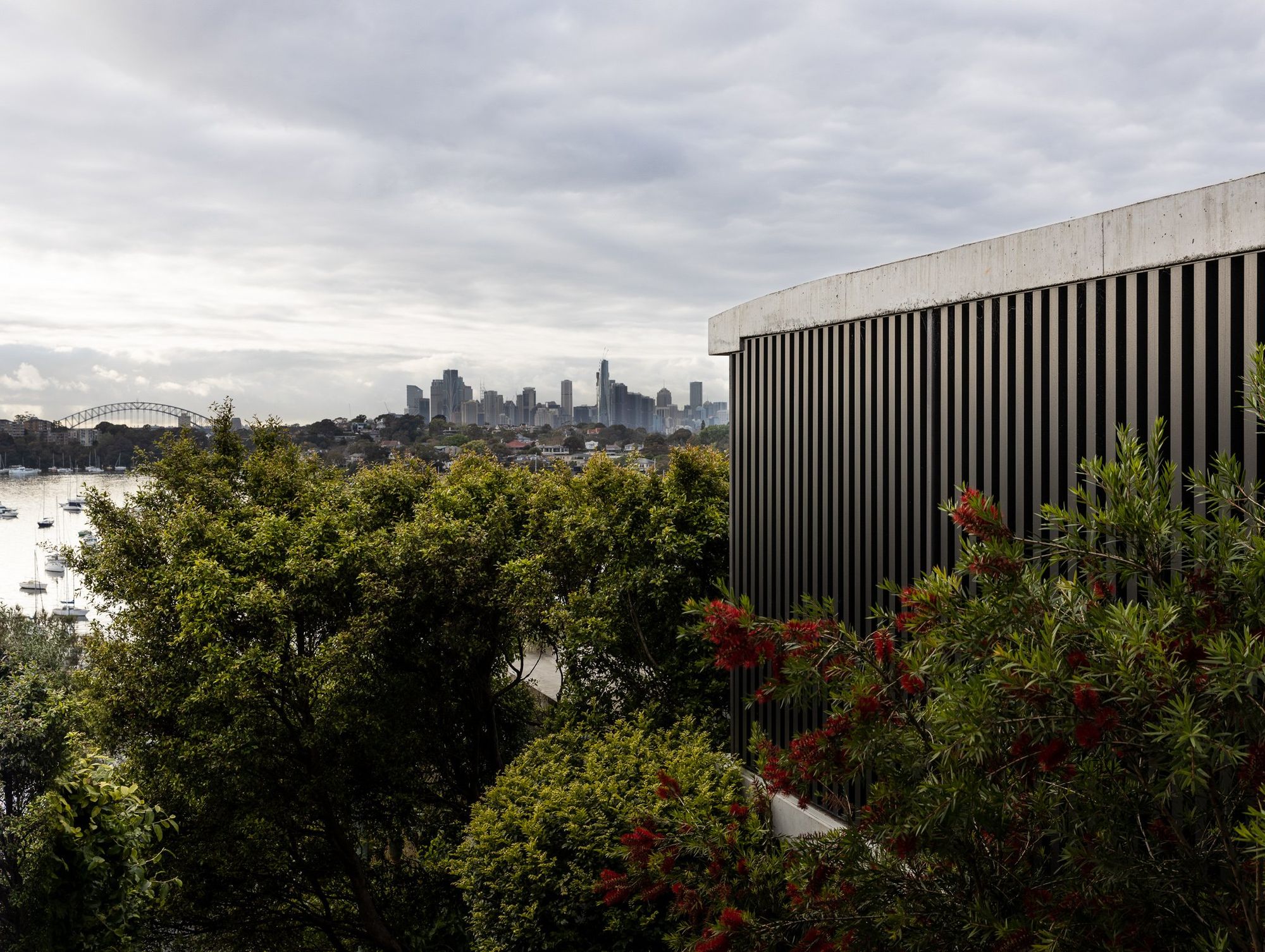 Rooftop view over the trees to the harbour and city skyline