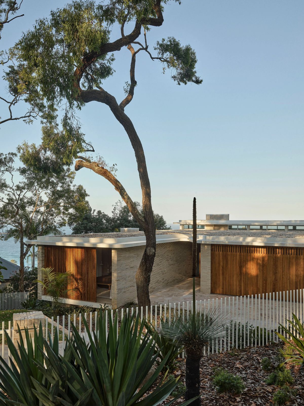Breeze House timber screened pavilions under a leaning gum tree