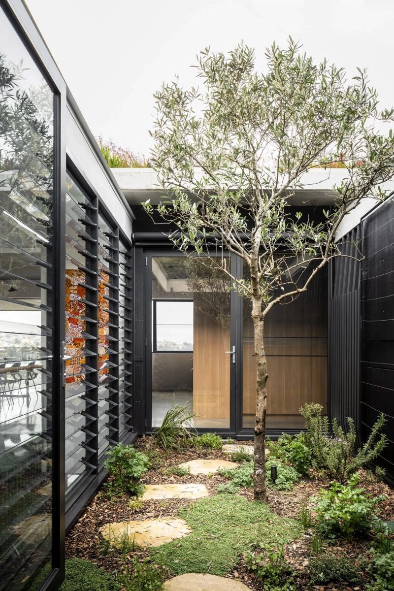 Courtyard with an olive tree, stepping stones and louvre windows