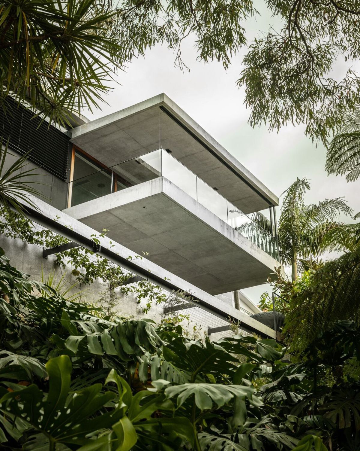 Concrete balcony of Bay House cantilevered over a garden of palms and ferns