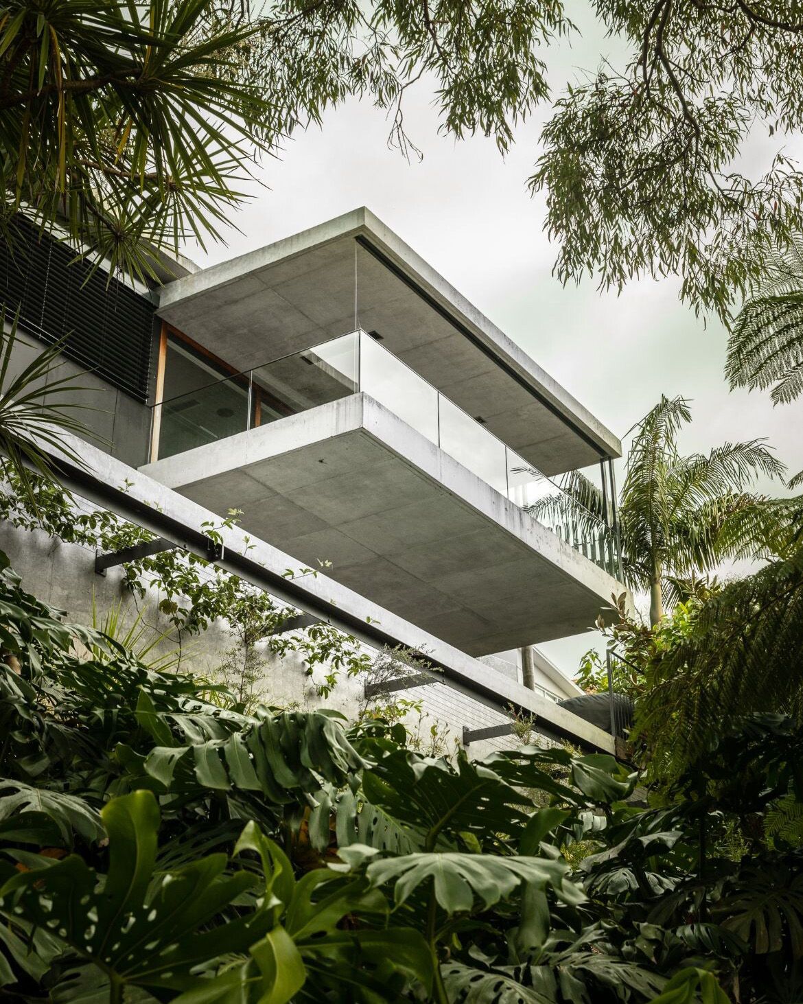 Concrete balcony of Bay House cantilevered over a garden of palms and ferns