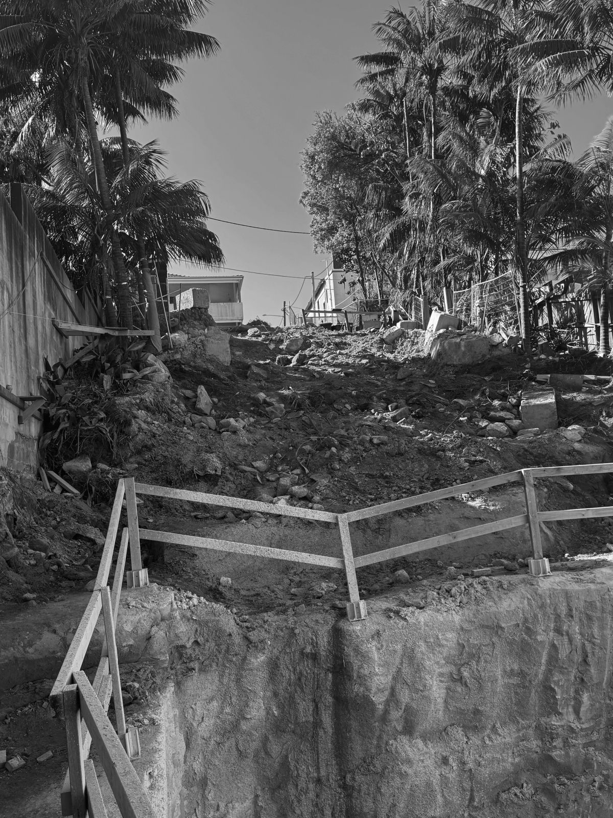 Looking up the excavated slope at Tamarama, palms either side and a timber rail across the cut