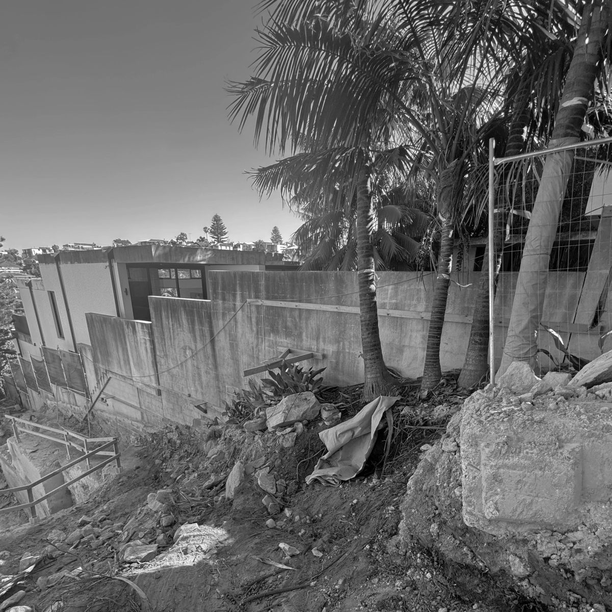 Concrete boundary wall and palms at Tamarama, the neighbouring rooftops beyond