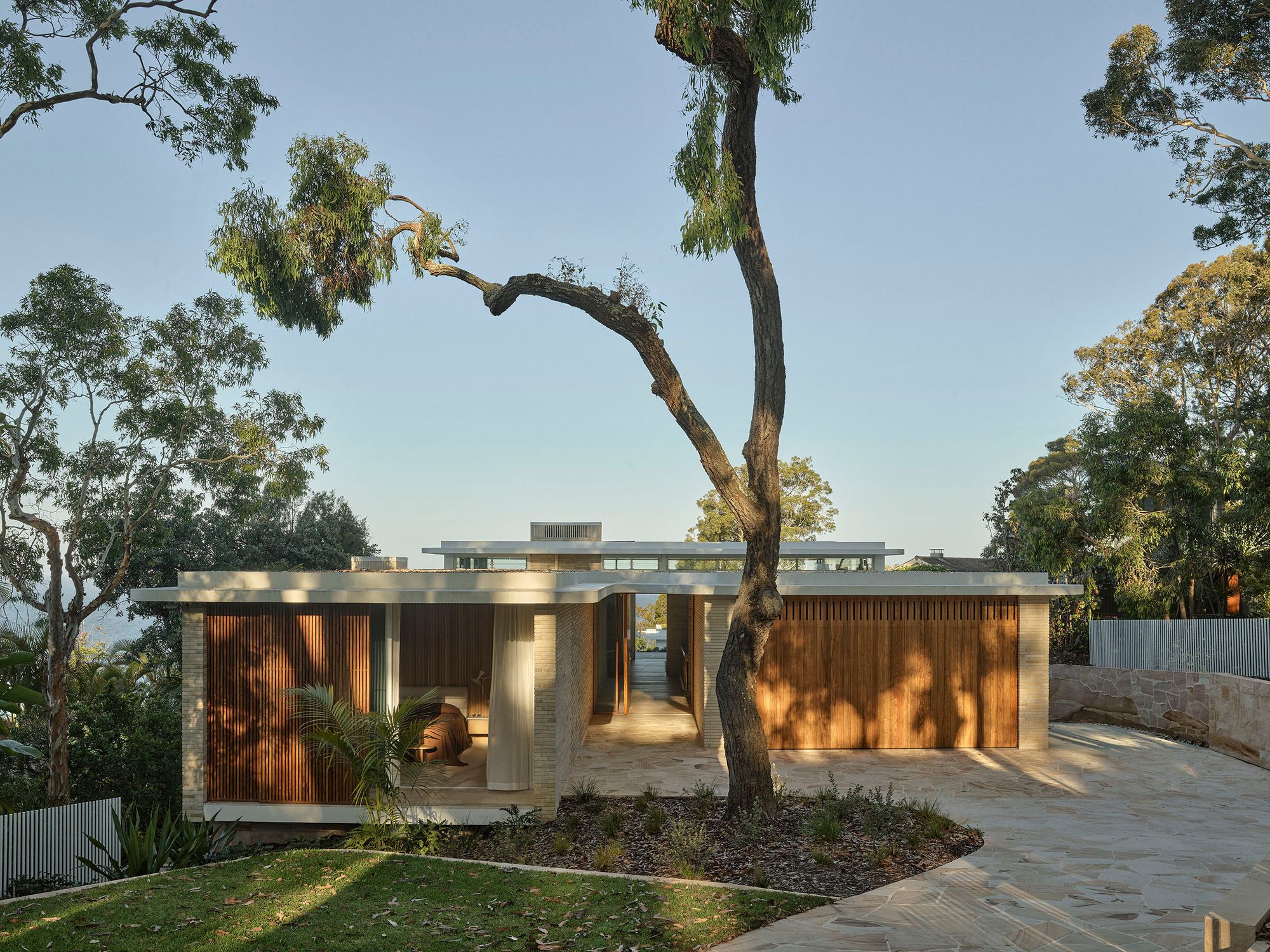 Breeze House pavilion with timber screens beneath a gum tree