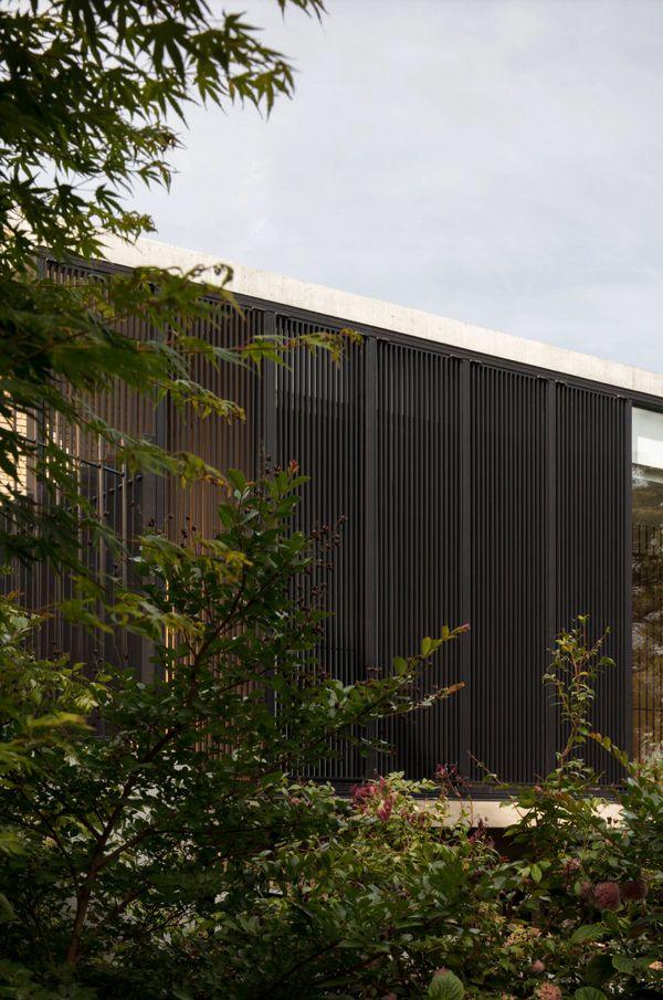 Dark timber batten screen at Balmoral House behind garden planting