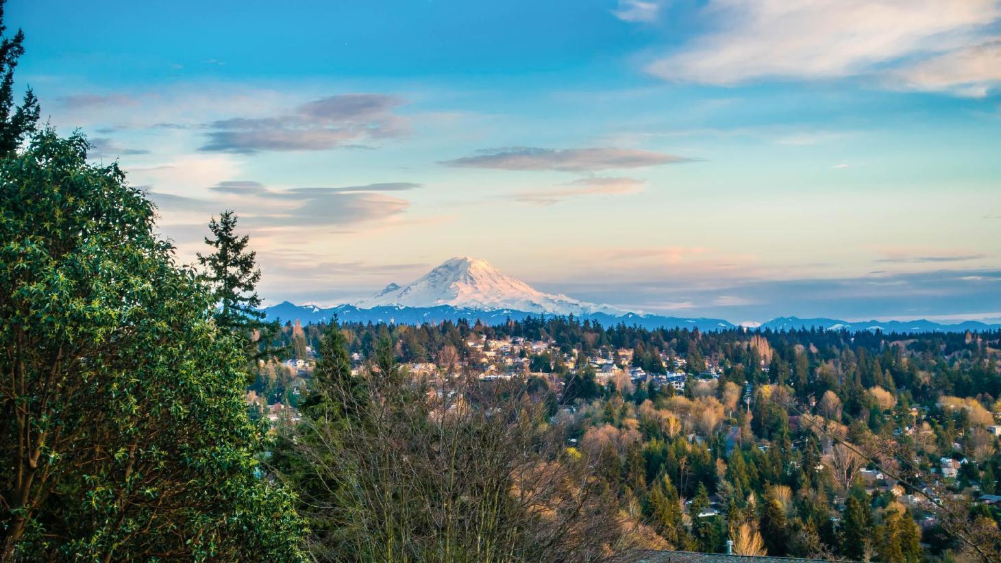 Home service professional in Burien