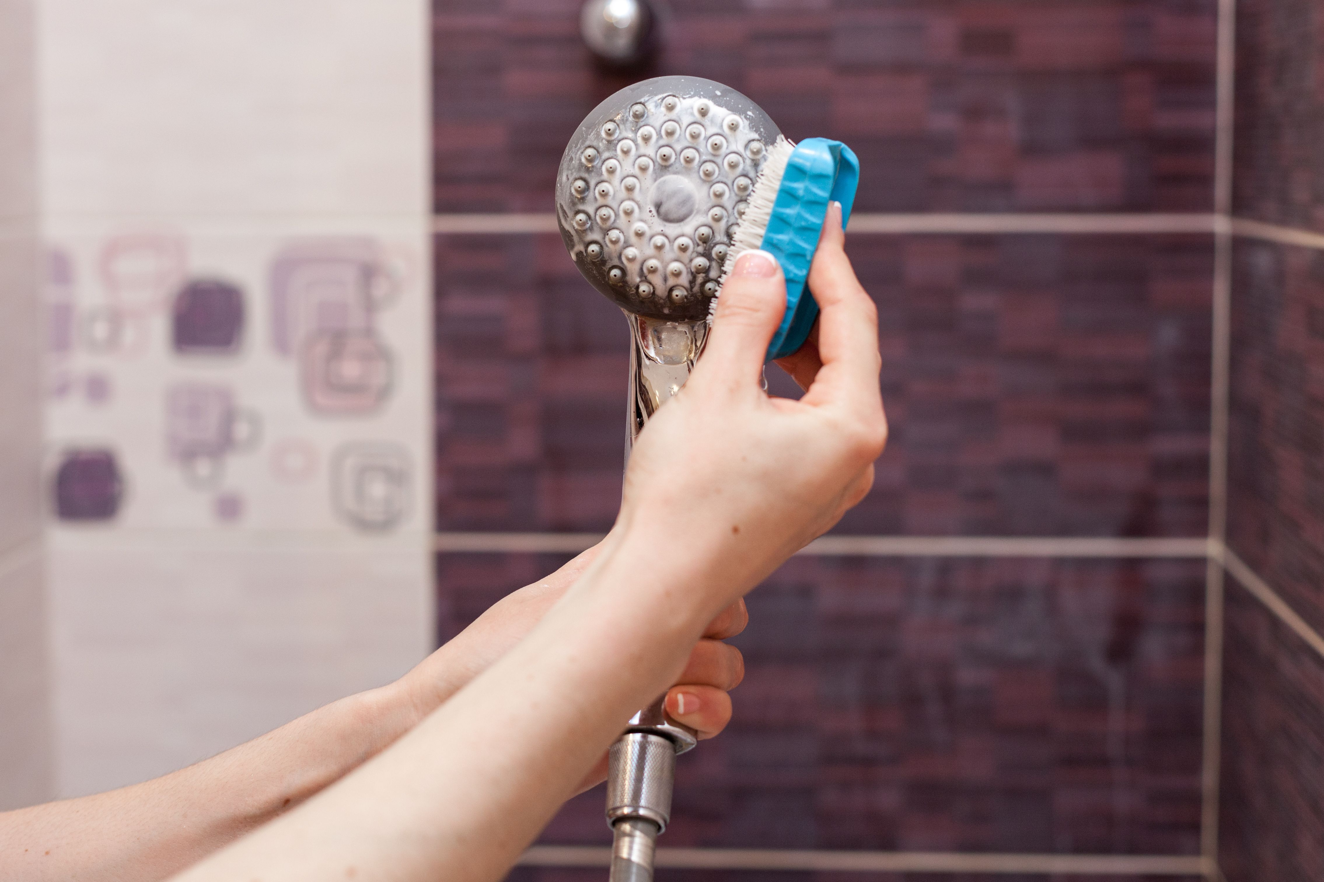 Unlocking the Mystery of Shower Squealing Noises 5 Causes and