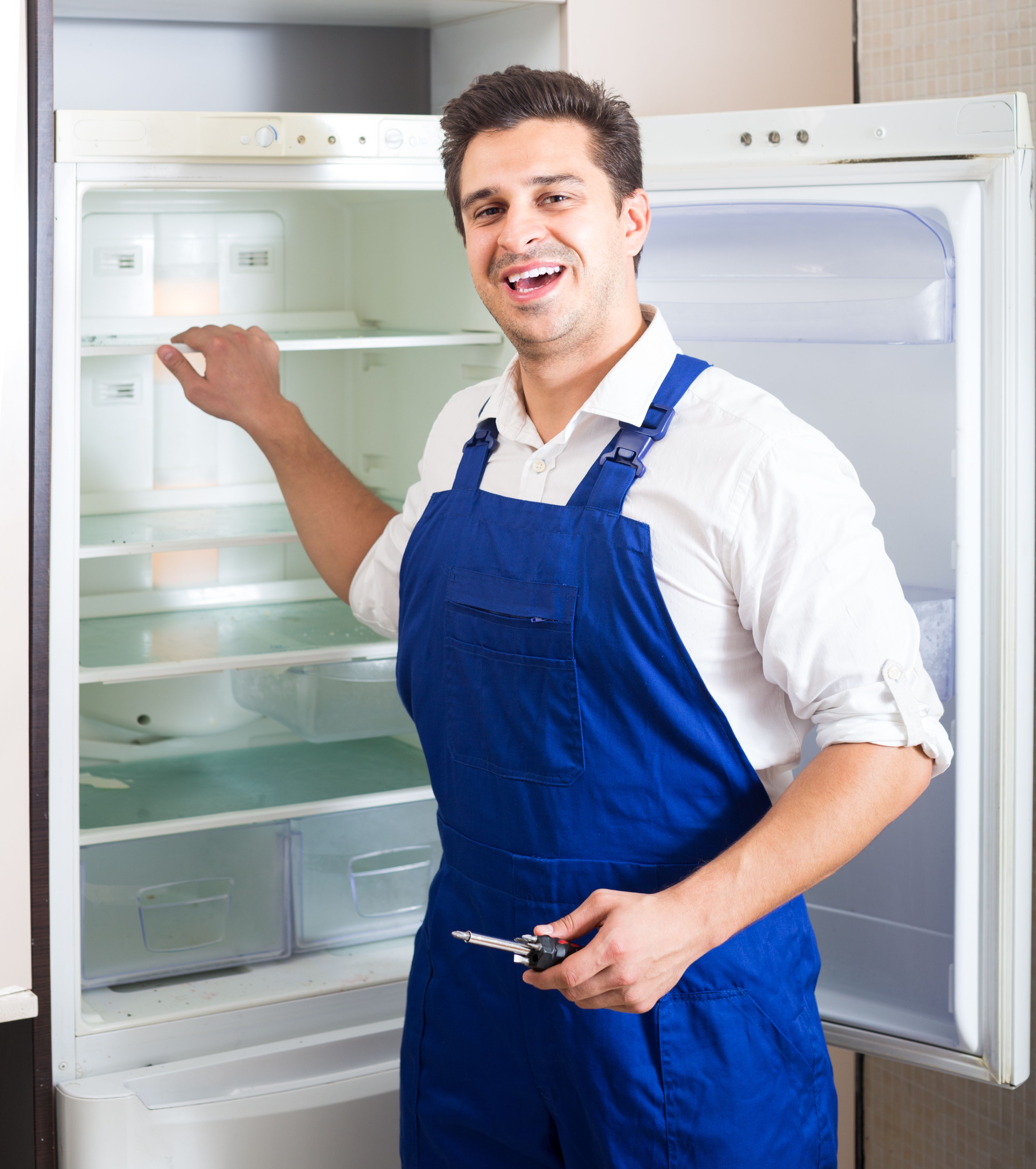 Sub-Zero Freezer Too Cold: What Causes a Fridge Keeps Freezing Over ...