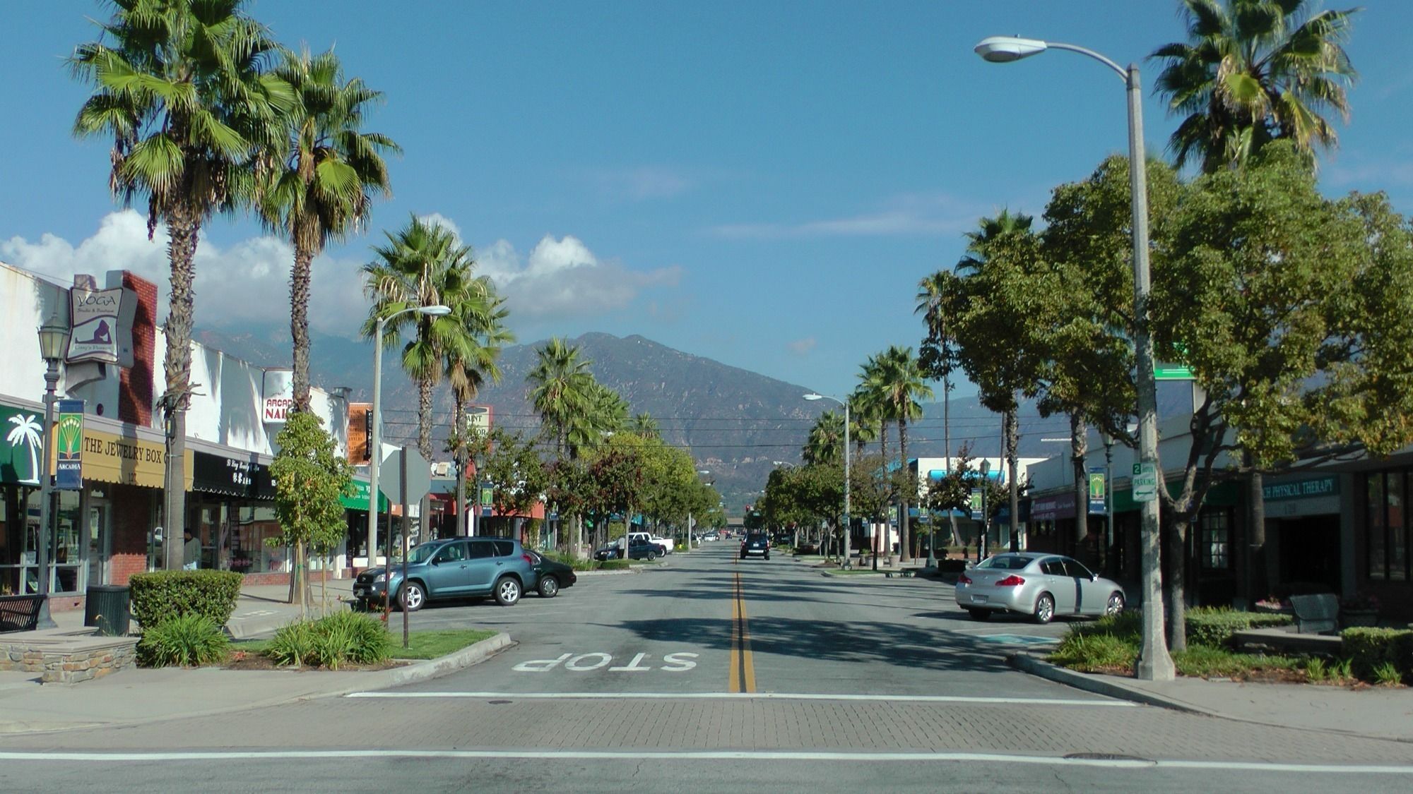 Home service professional in Arcadia