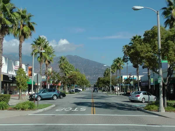 Home service professional in Arcadia