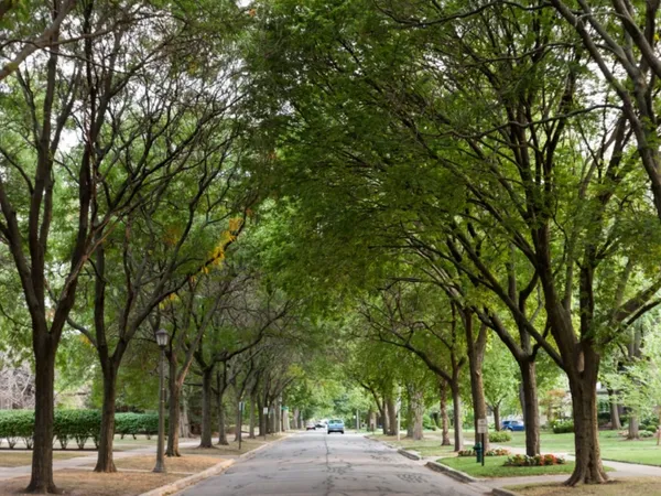 Home service professional in River Forest