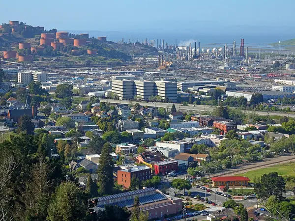 Home service professional in Richmond