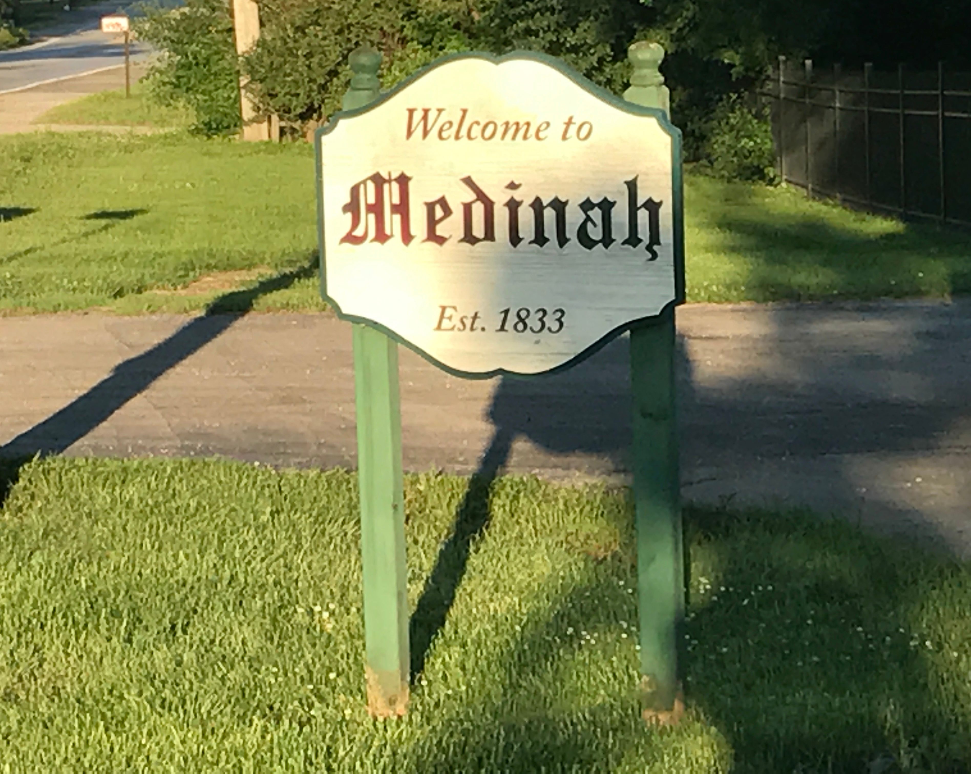 Home service professional in Medinah