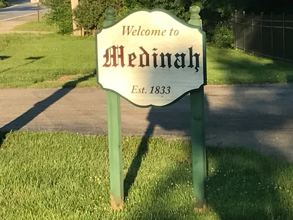 Home service professional in Medinah