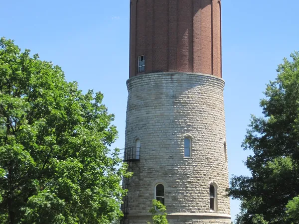 Home service professional in Western Springs