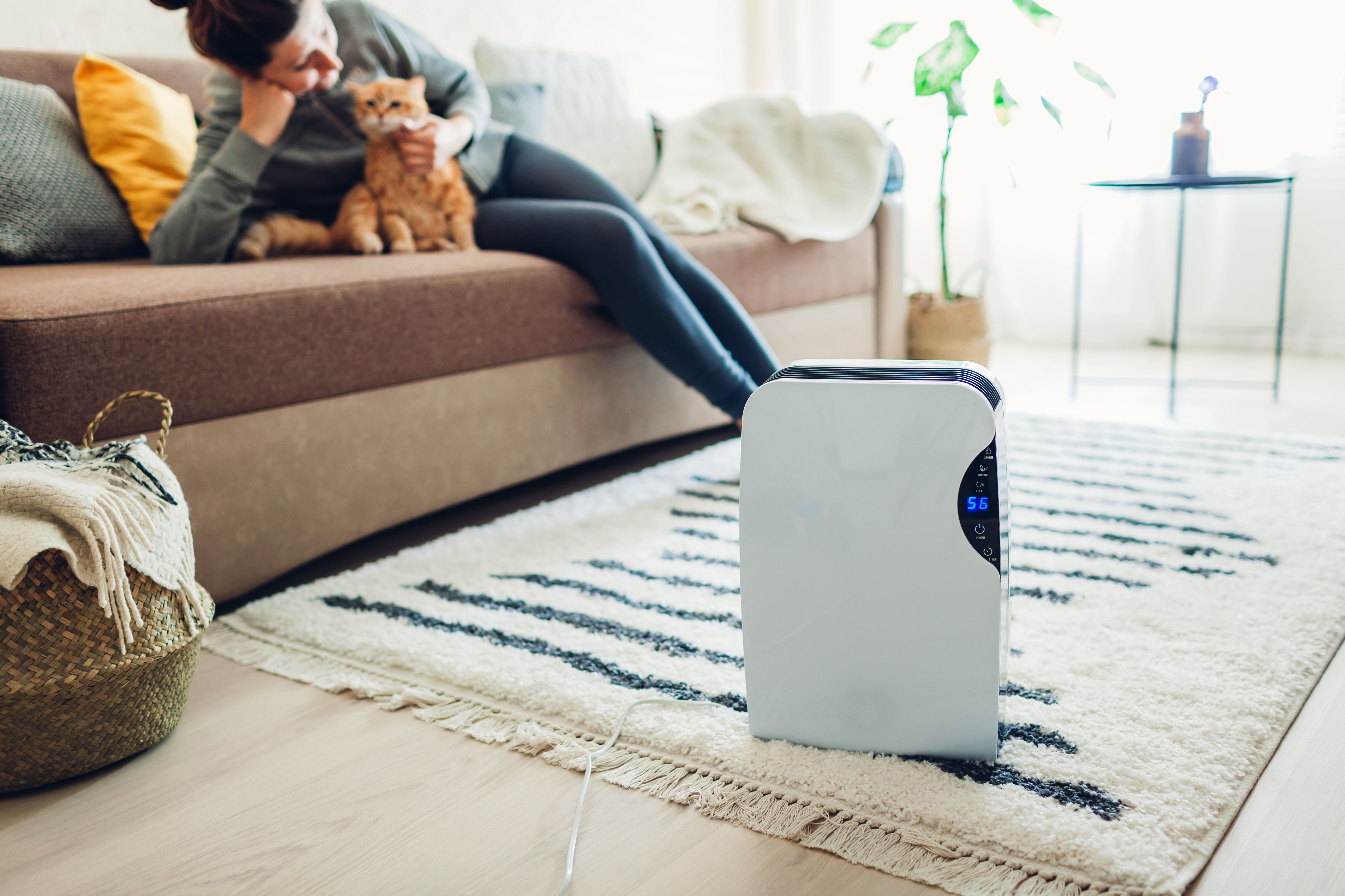 What Size Dehumidifier Do I Need? HomeAlliance