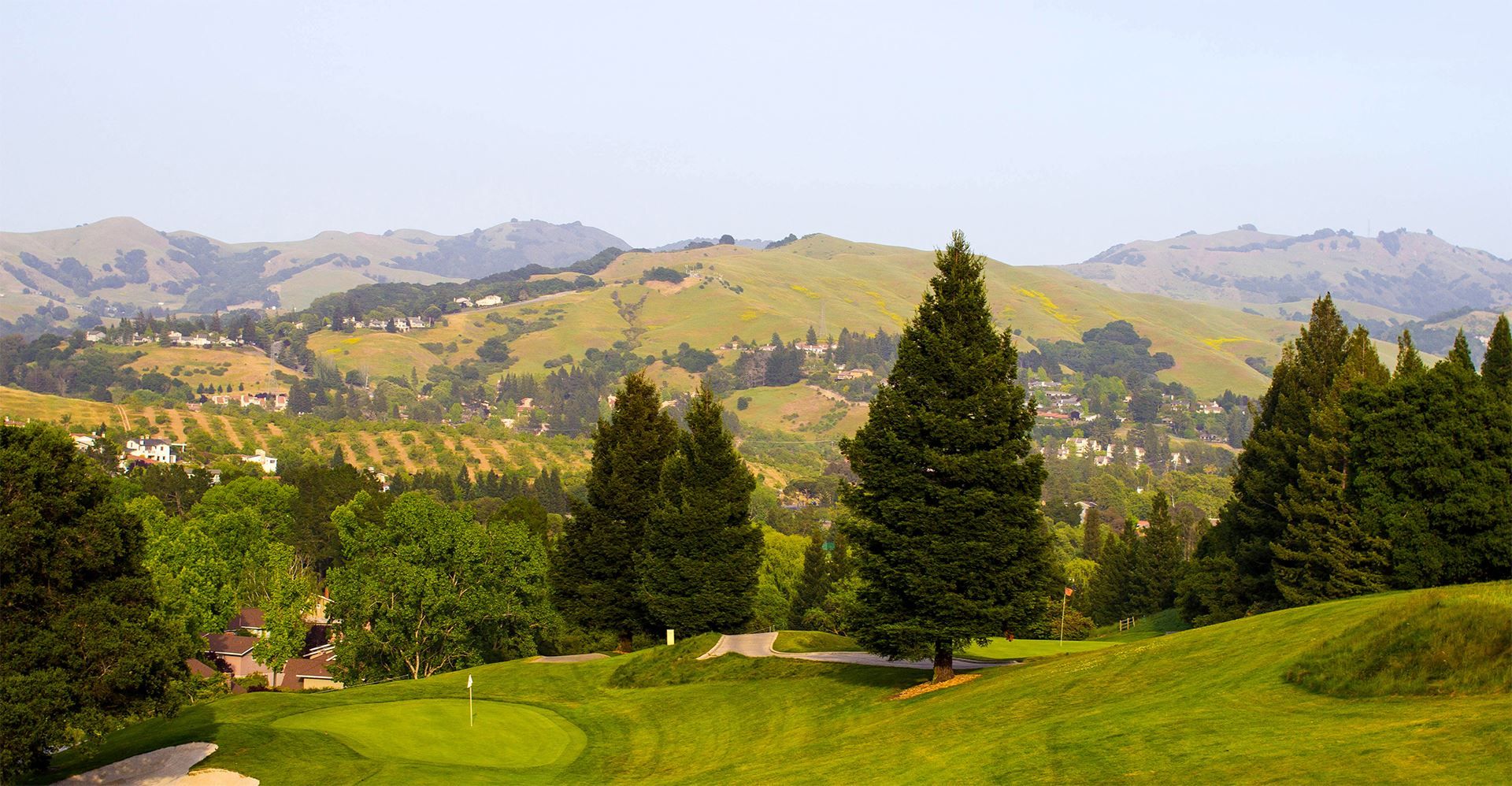 Home service professional in Moraga