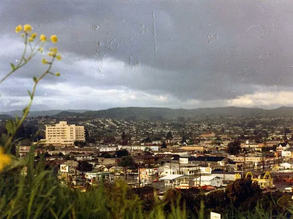 Home service professional in Castro Valley