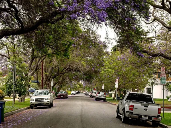 Home service professional in Rancho Park