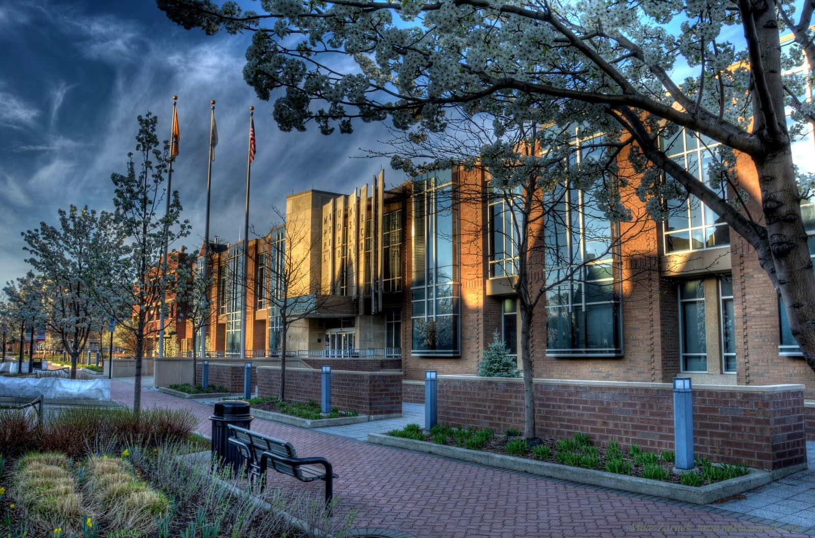 Home service professional in Mount Prospect