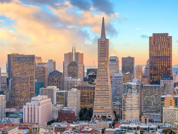 Home service professional in Downtown