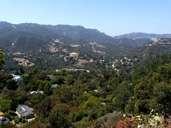 Home service professional in Canyon