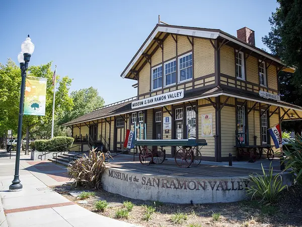 Home service professional in Danville