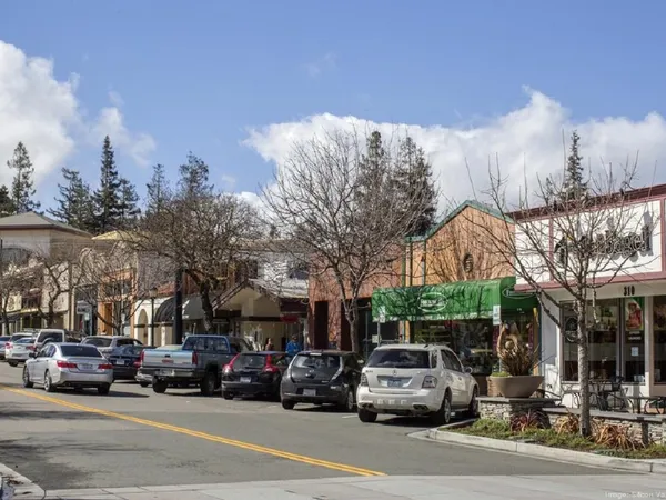 Home service professional in Los Altos