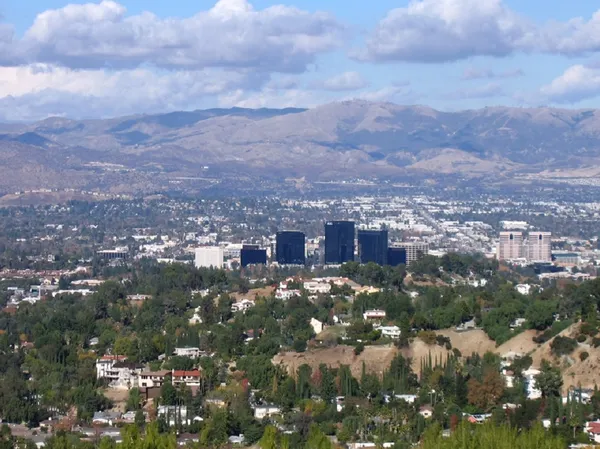 Home service professional in Woodland Hills