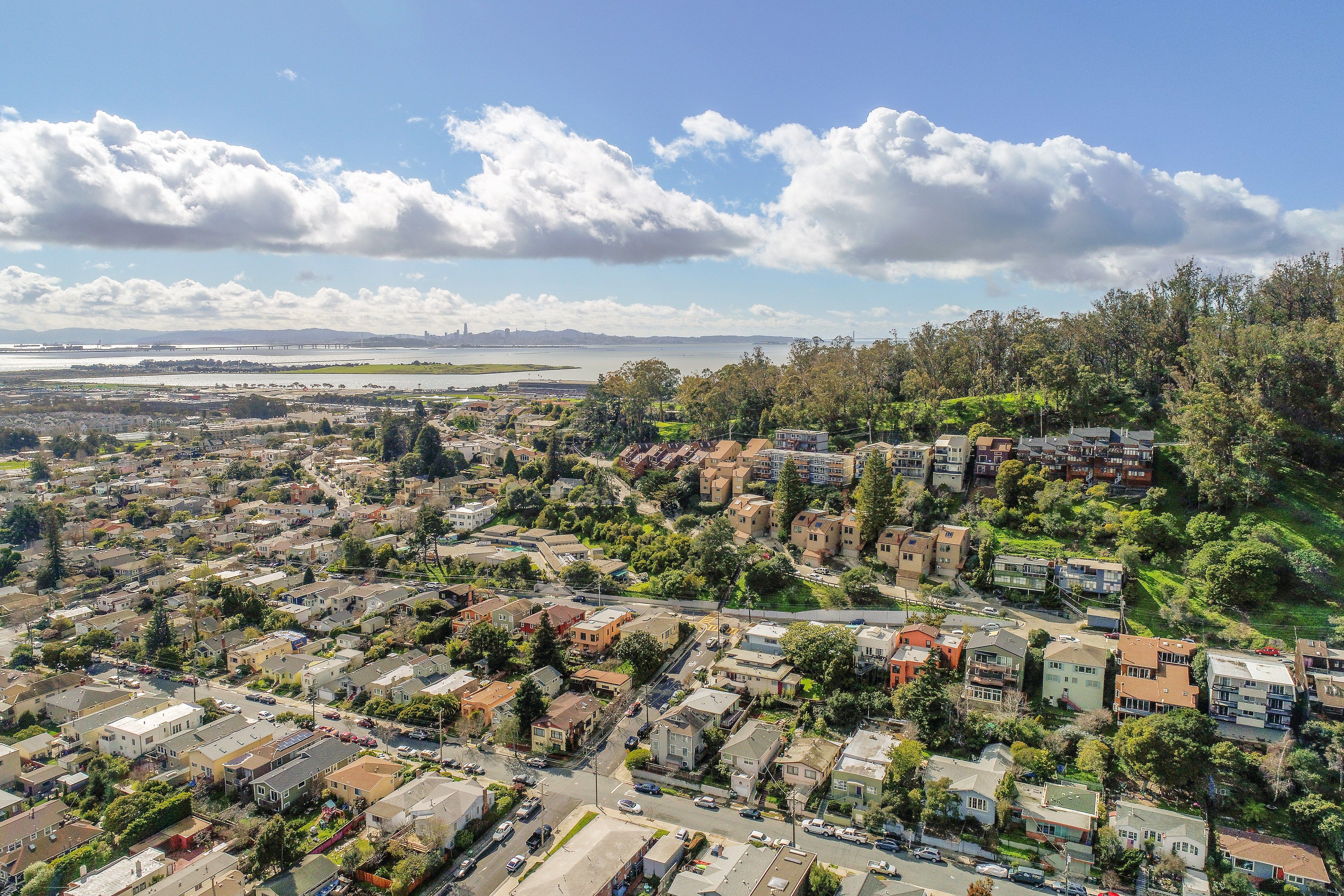 Home service professional in Albany