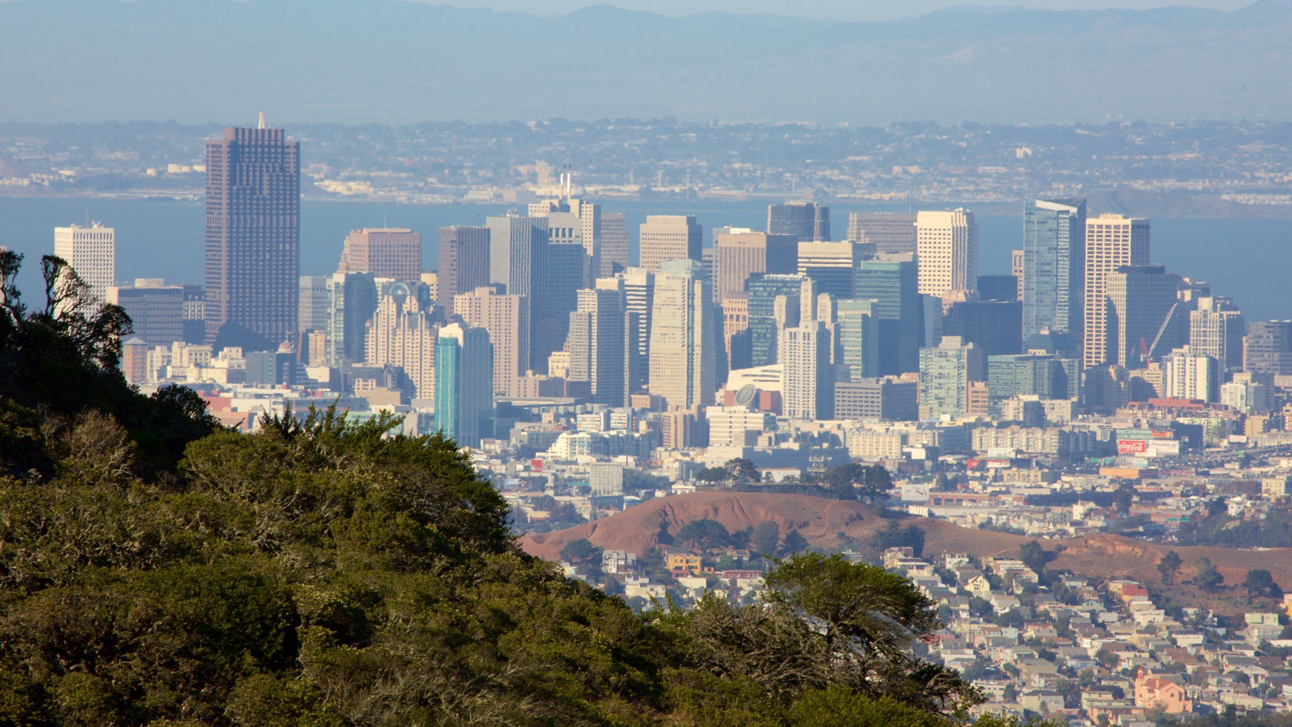 Home service professional in Brisbane