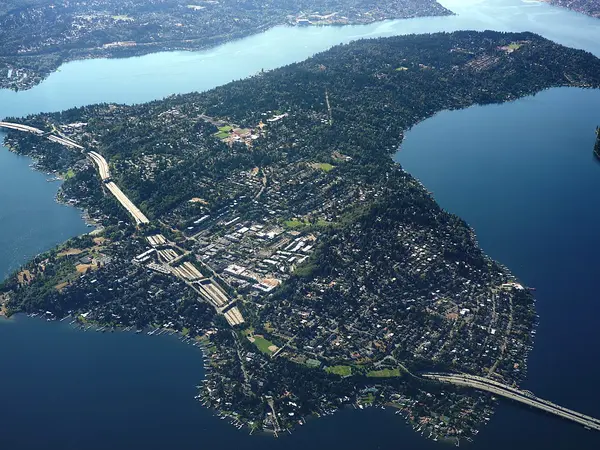 Home service professional in Mercer Island