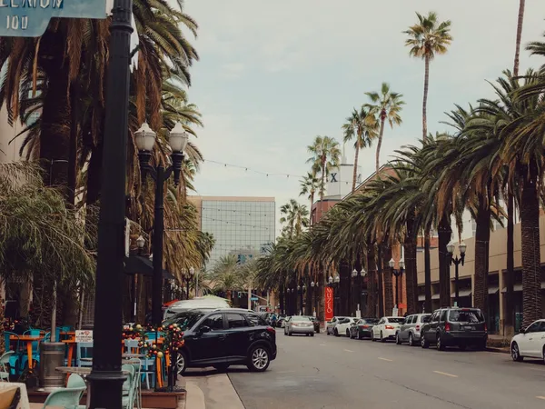 Home service professional in Anaheim