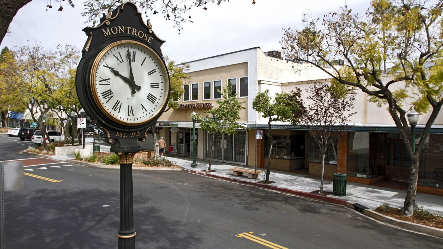 Home service professional in Montrose