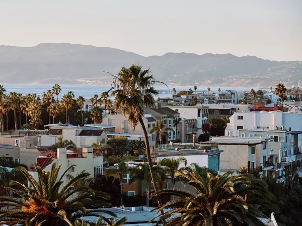 Home service professional in Playa Del Rey