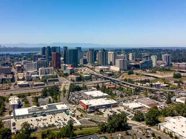 Home service professional in Bellevue