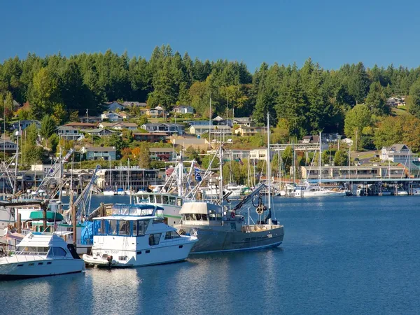 Home service professional in Gig Harbor