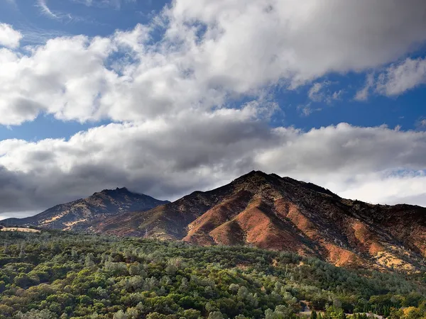 Home service professional in Diablo