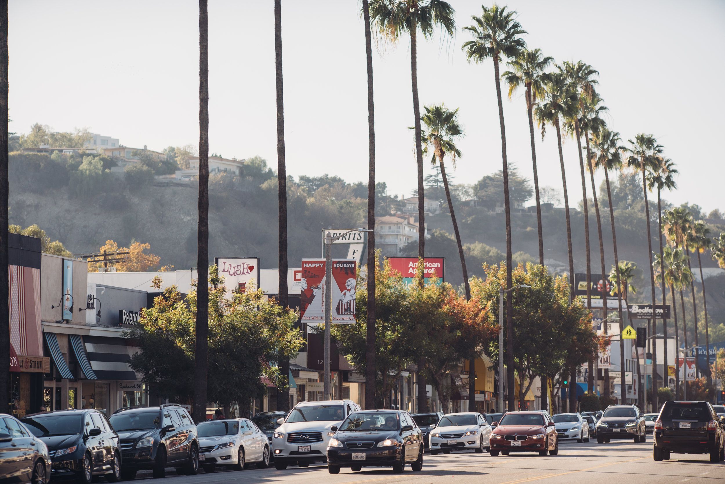 Home service professional in Studio City