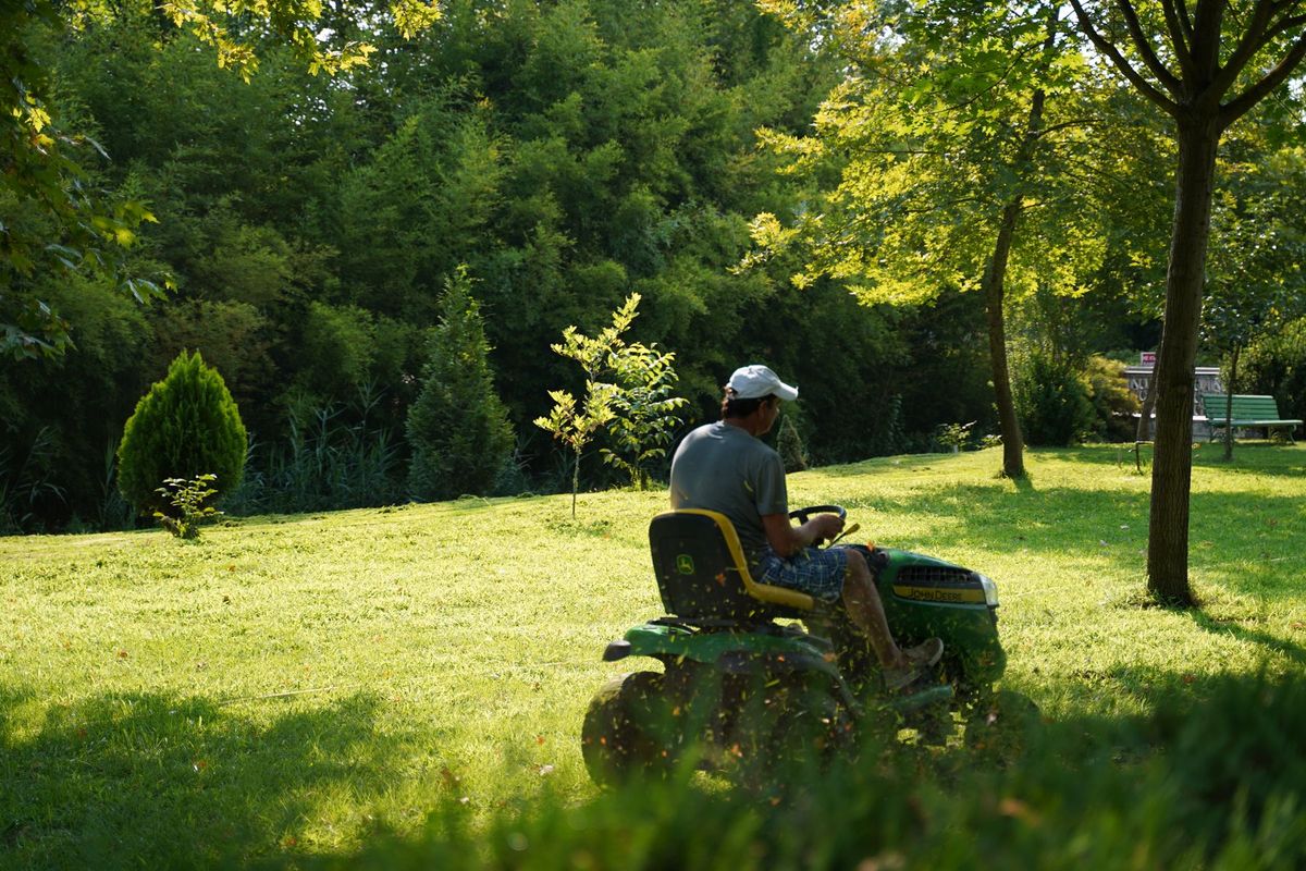 Homme tondant une pelouse verte sous le soleil dans un jardin arborisé