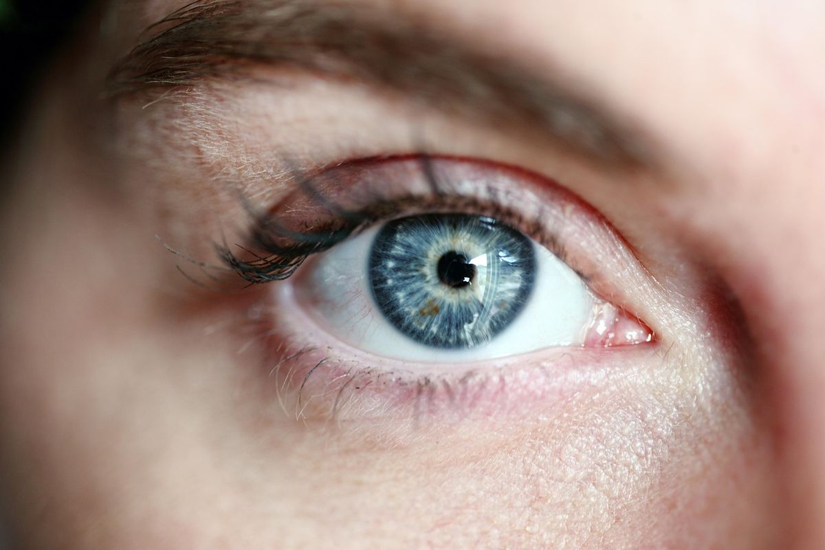 Gros plan sur un œil bleu avec des cils volumineux et bien définis