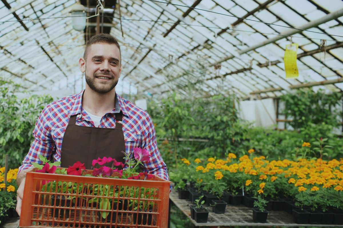 Homme tenant une caisse de fleurs dans une serre