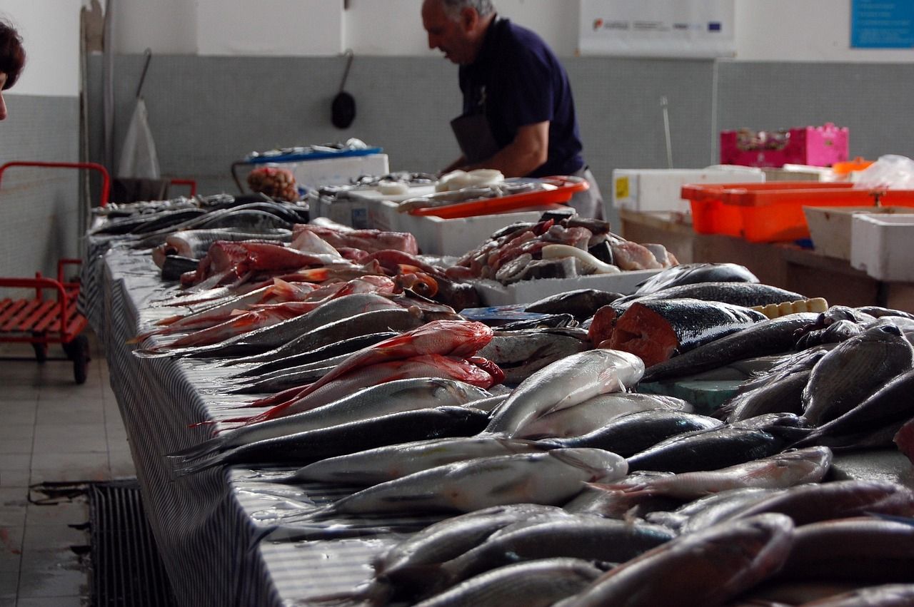 Un poissonnier arrange des poissons frais sur son étal coloré au marché de Marrakech