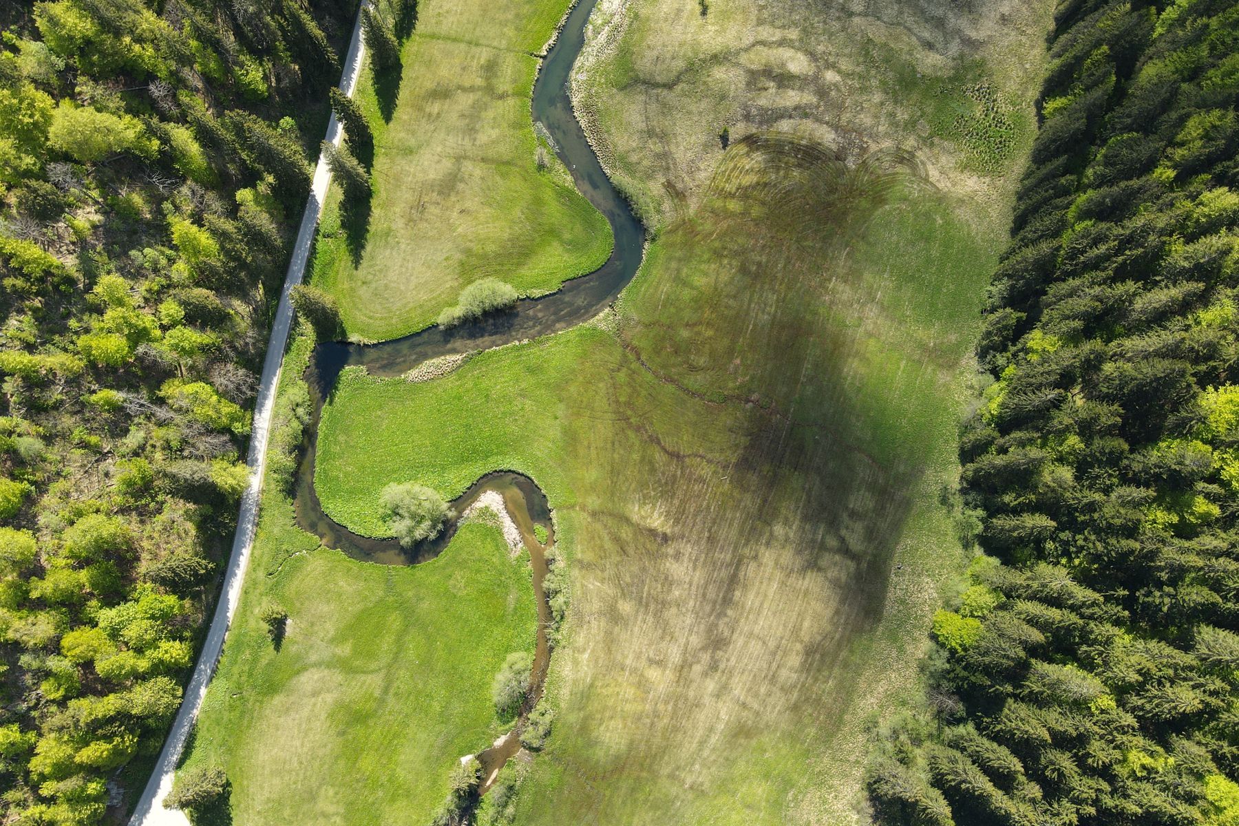 Vue aérienne d'un lac alpin entouré de forêts denses et de végétation luxuriante