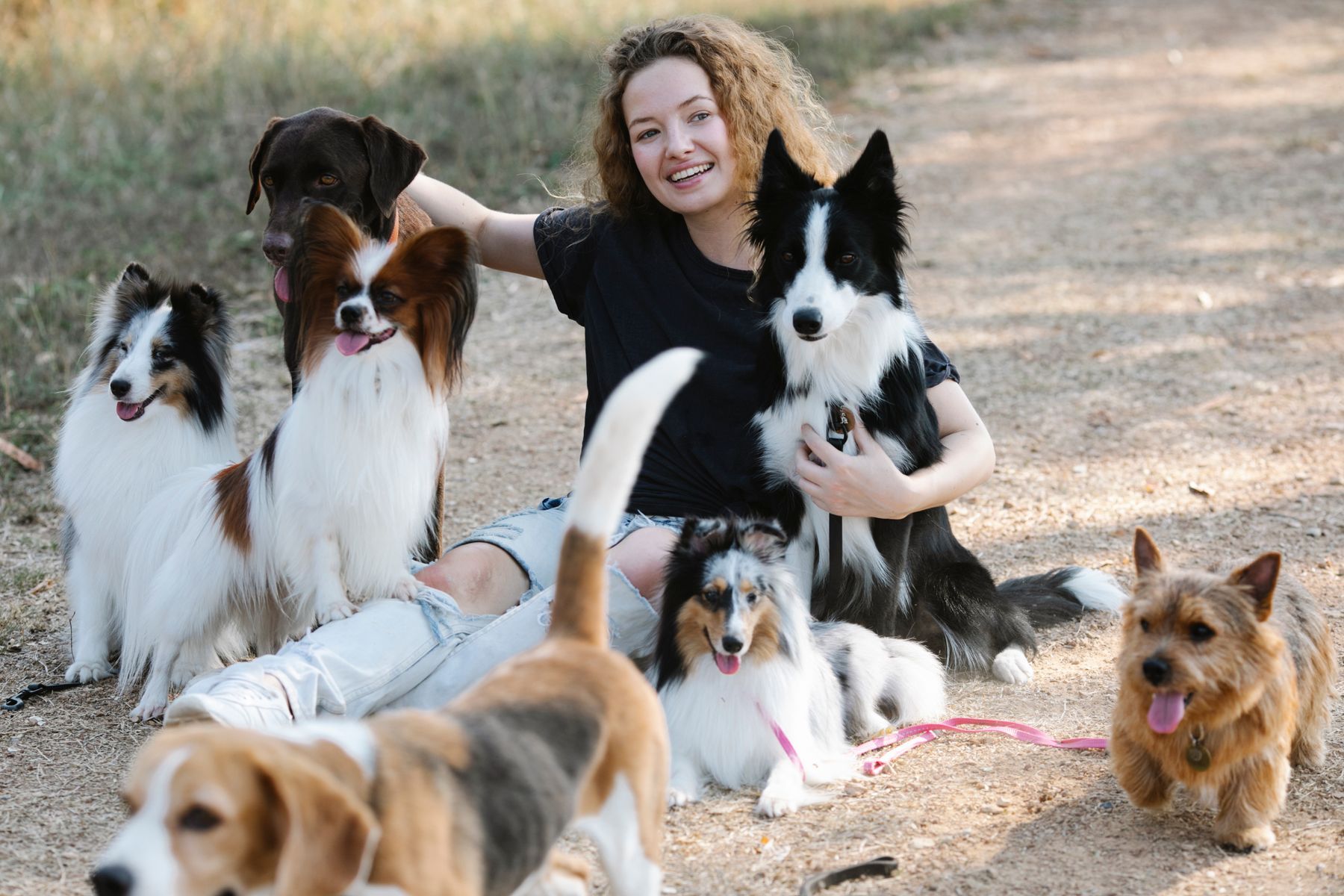 Pet-sitter