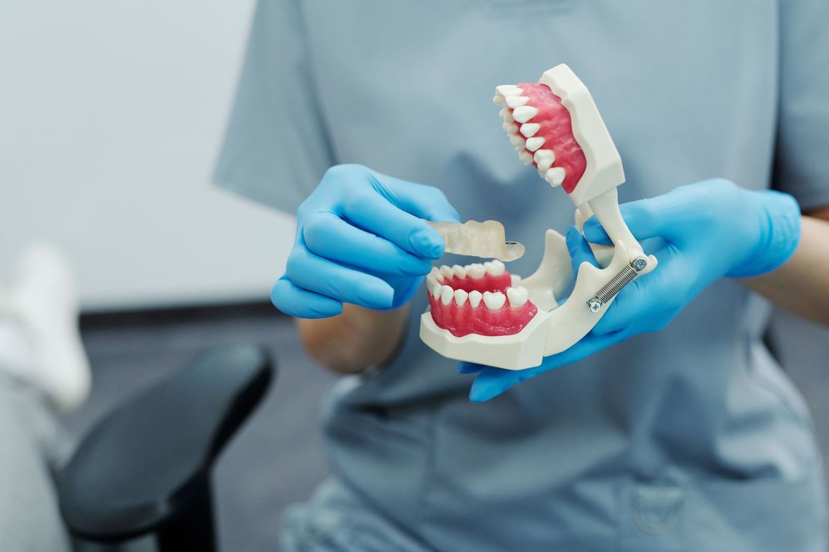 Un dentiste présente un modèle de mâchoire avec des dents alignées dans son cabinet