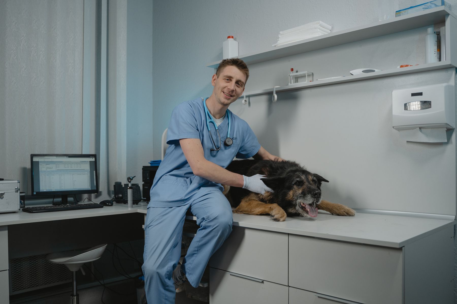 Auxiliaire vétérinaire