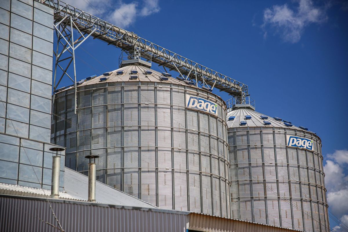 Imposants silos de stockage de grains dans une installation agroalimentaire industrielle