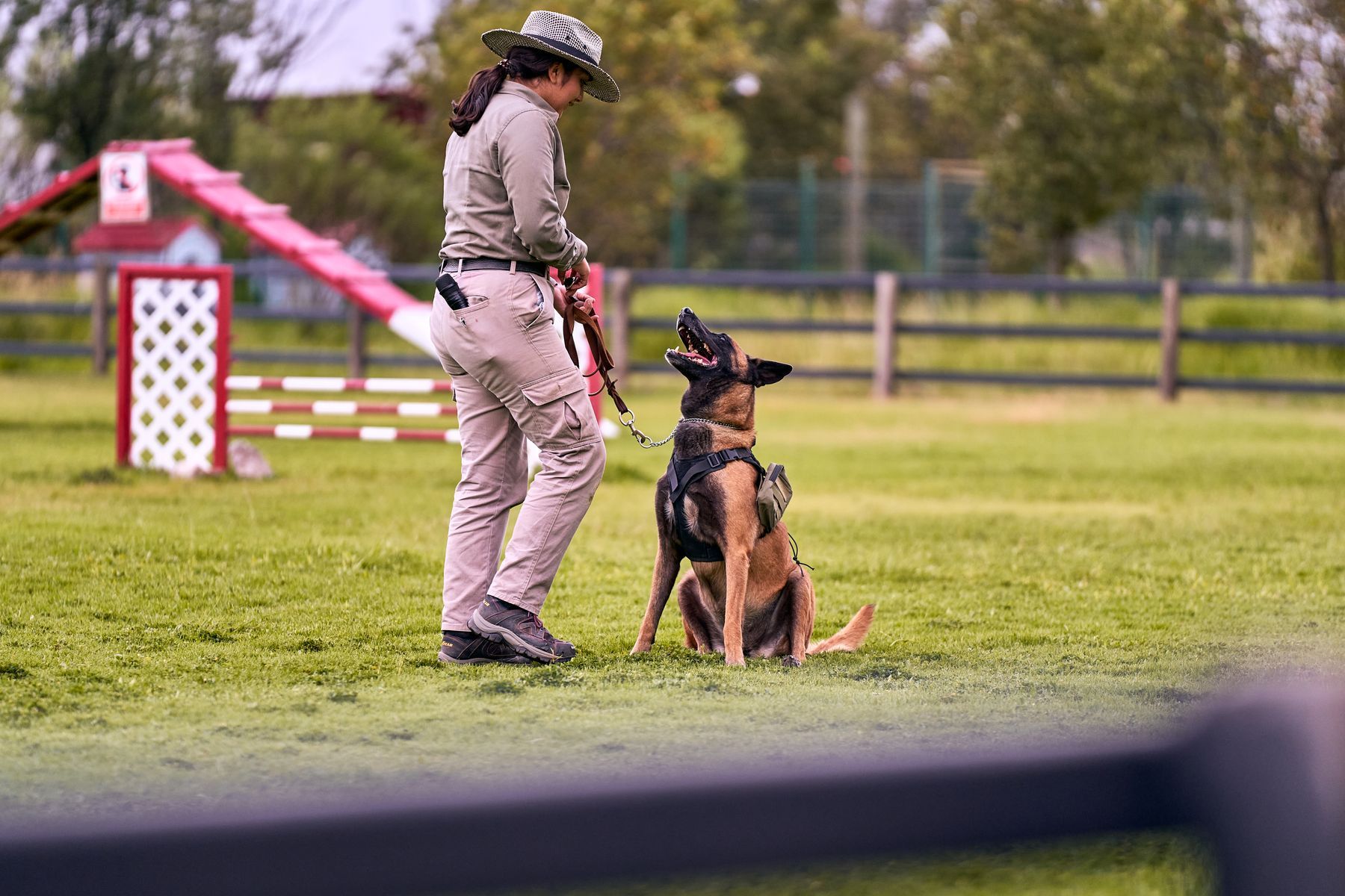Éducateur canin